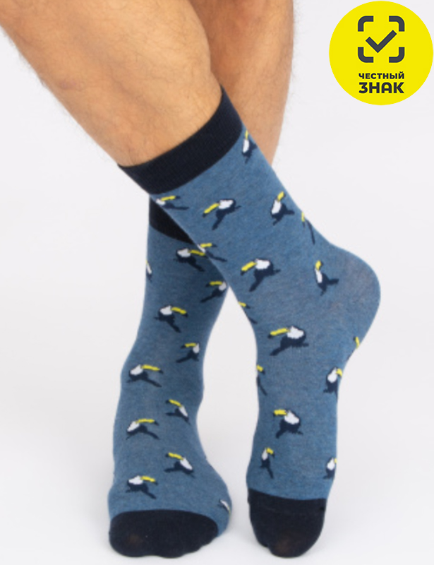 Мужские носки С 197 (27, Синий)